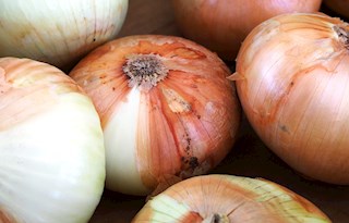 Maui onion