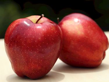 Red Delicious Apples Weren't Always Horrible - New England