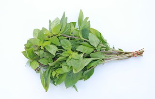 Thai Basil