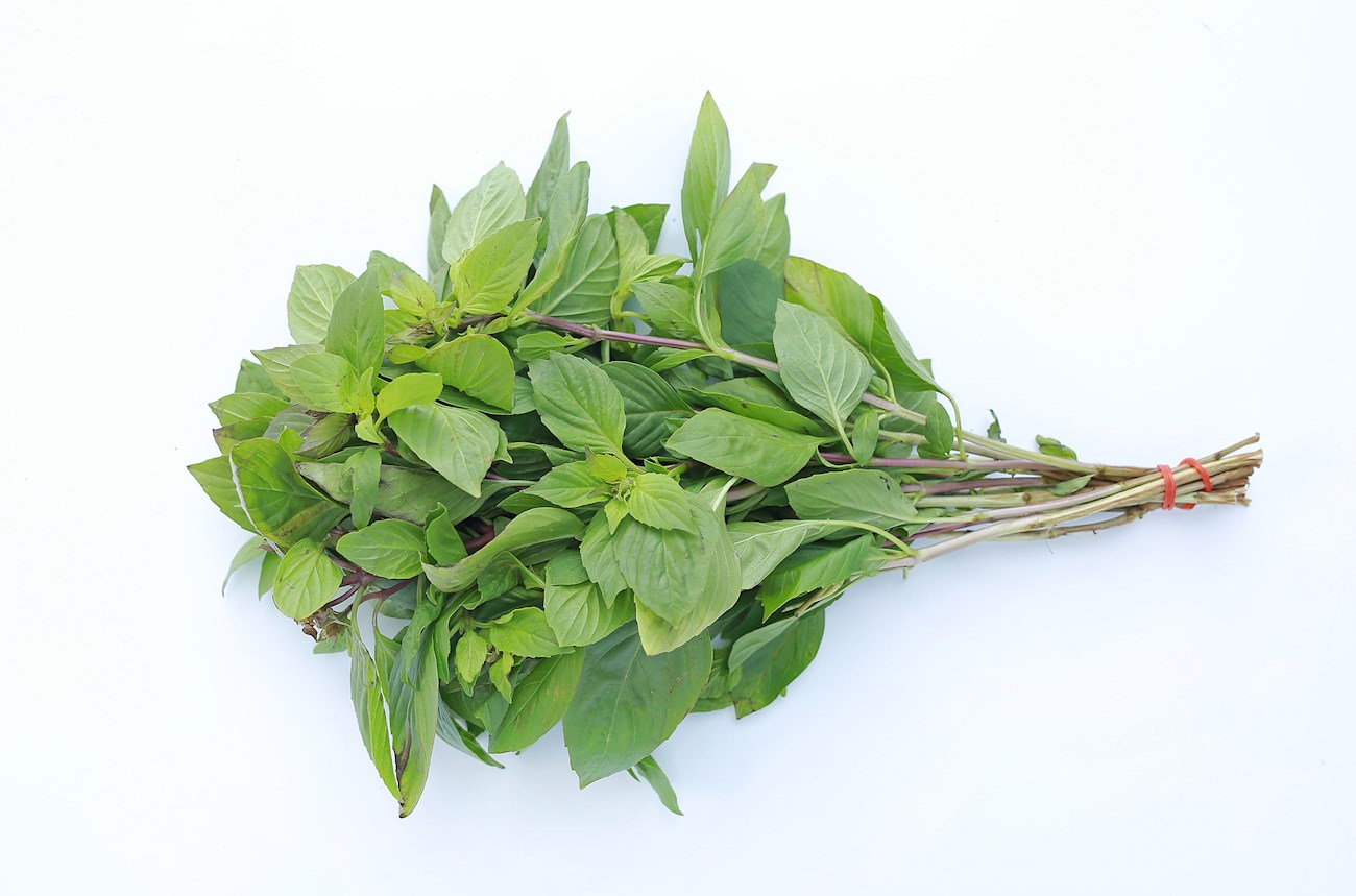 Top 17 Southeast Asian Herbs and Spices
