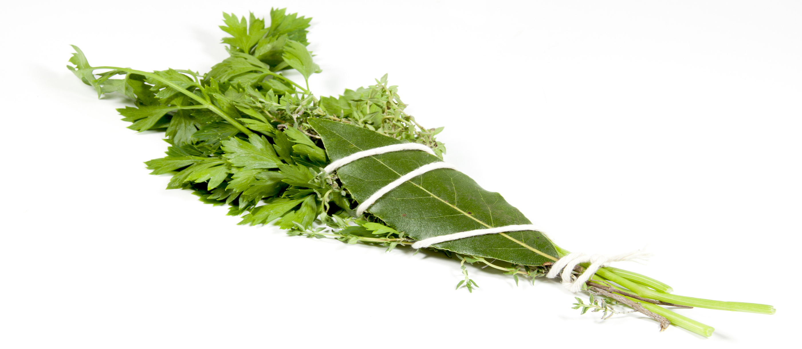 9 Best Herbs in the World TasteAtlas