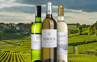 Bordeaux Blanc
