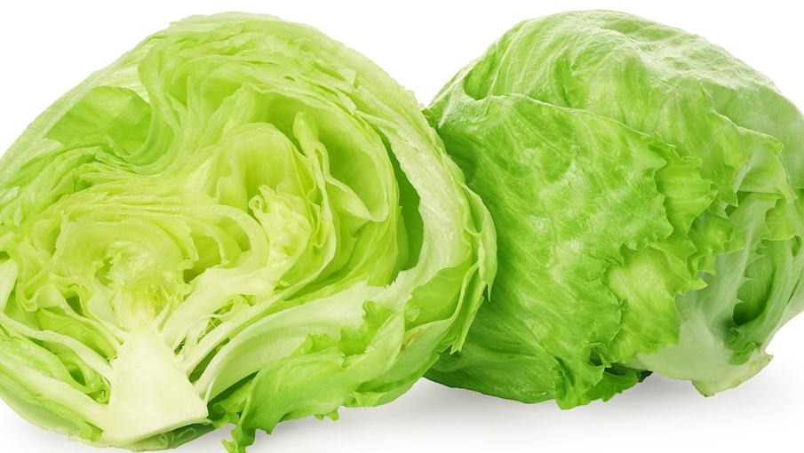 Iceberg lettuce