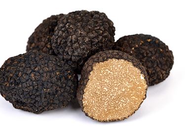9 Most Popular European Truffles Tasteatlas