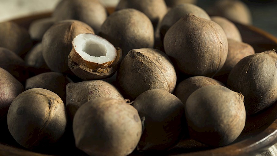 Coquito Nuts