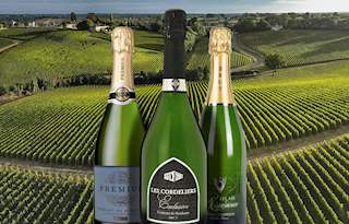 Crémant de Bordeaux