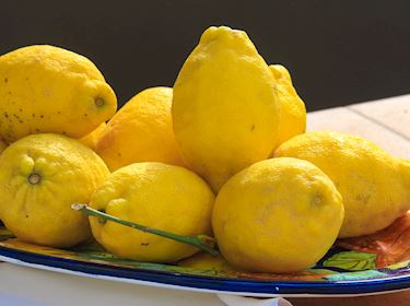 14 ways to use Sicilian Lemons - Times of Sicily