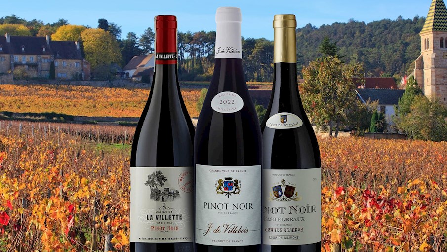 Pinot Noir