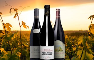 Saint Nicolas de Bourgueil