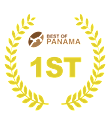 1st Place