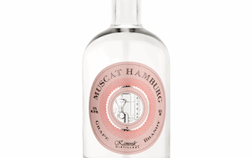 Chateau Koya 10 YO XO Master 's Edition - Best Gourmet
