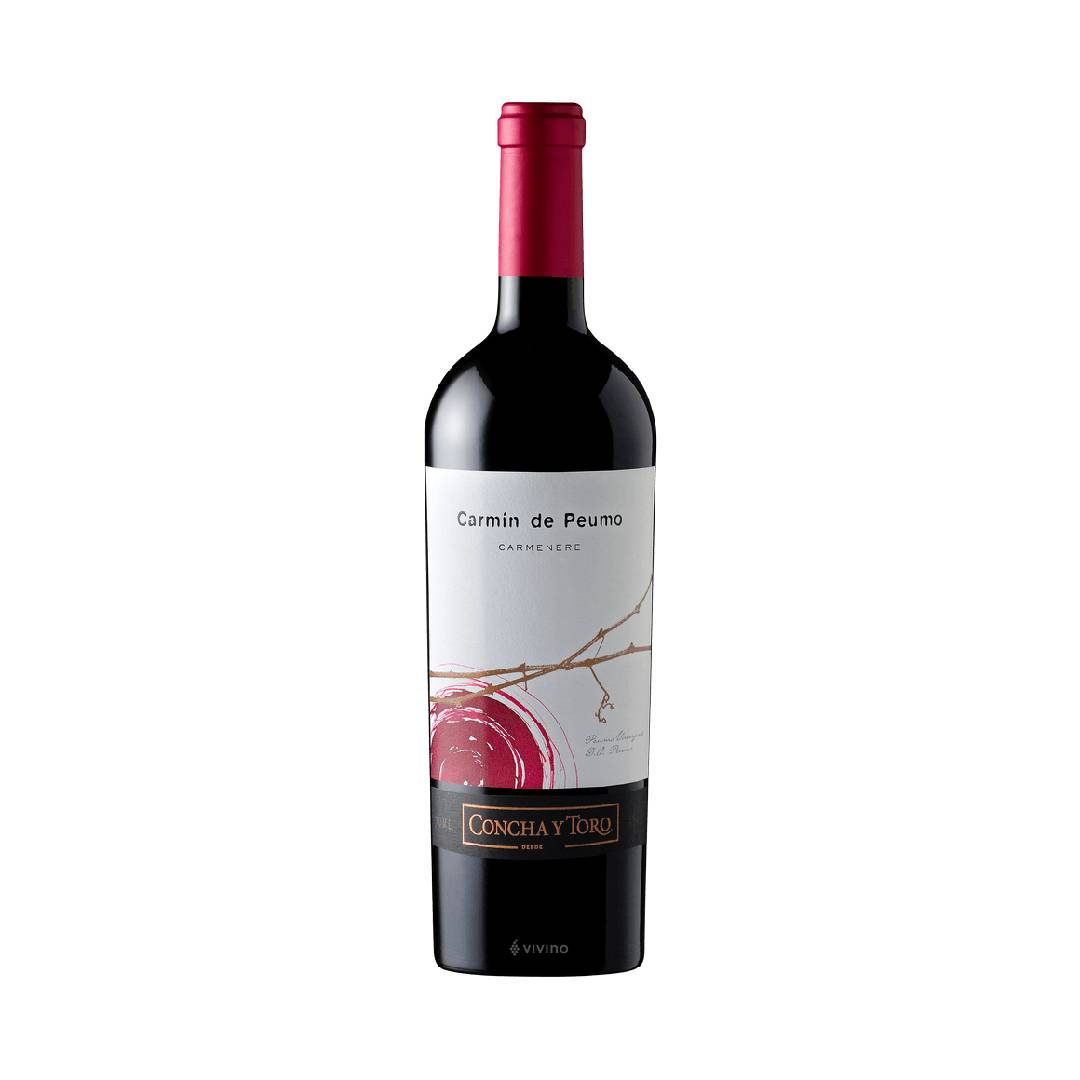 Viña Concha y Toro Gravas del Maipo Syrah - Best Gourmet Products