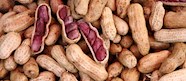South Carolina Boiled Peanuts Traditional Snack From South Carolina 