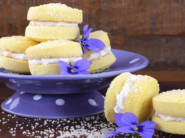 Yo Yo Biscuits Traditional Cookie From Australia Yo Yo Biscuits Traditional Cookie From Australia