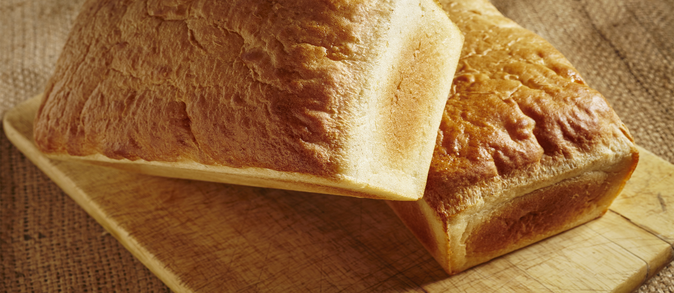 SaltRising Bread Traditional Bread From United States