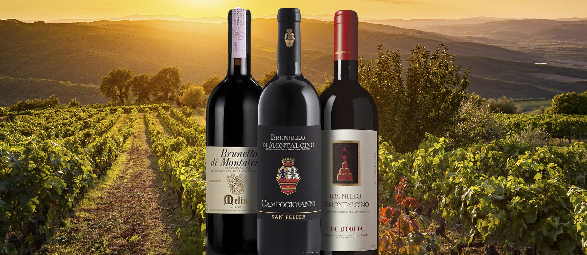 brunello-di-montalcino-local-wine-appellation-from-province-of-siena