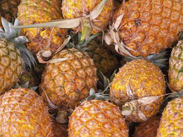 Ananas Dos Acores Local Fruit From Sao Miguel Island Portugal