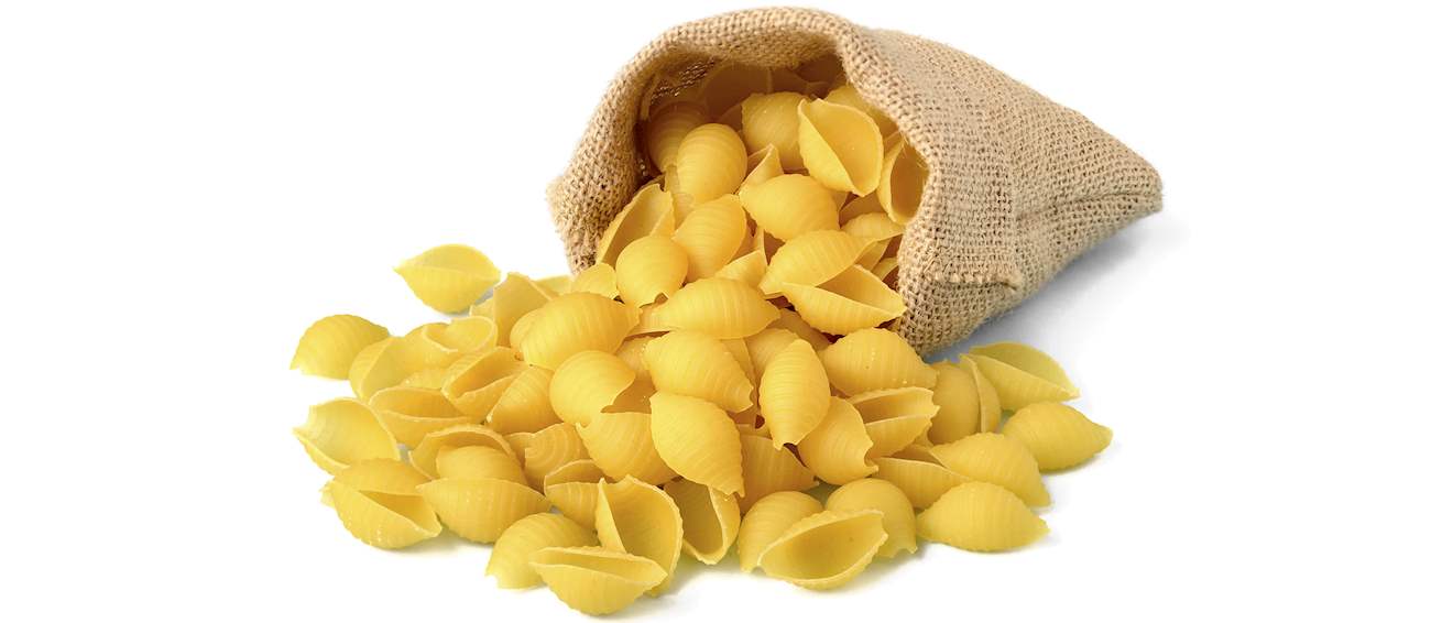 giant conchiglie pasta