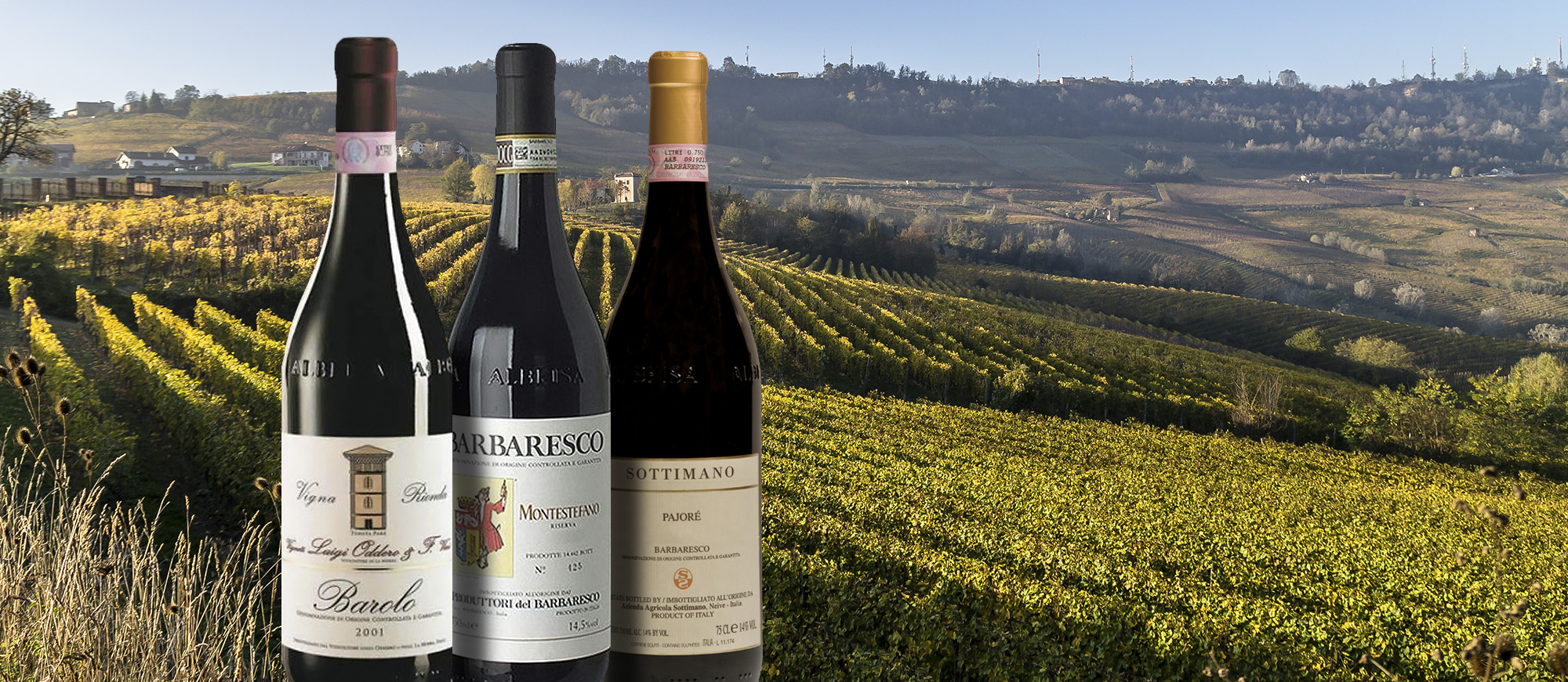 Barbaresco Local Wine Appellation From Province of Cuneo, Italy