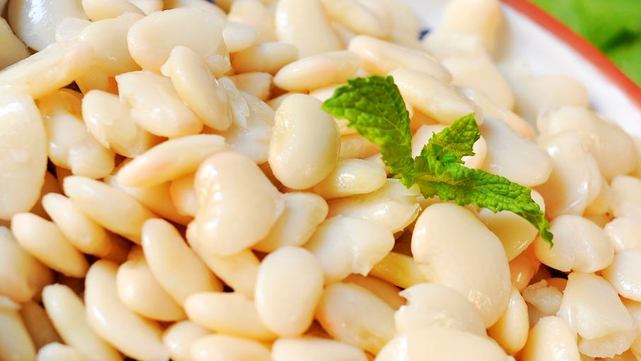 6-most-popular-spanish-beans-tasteatlas