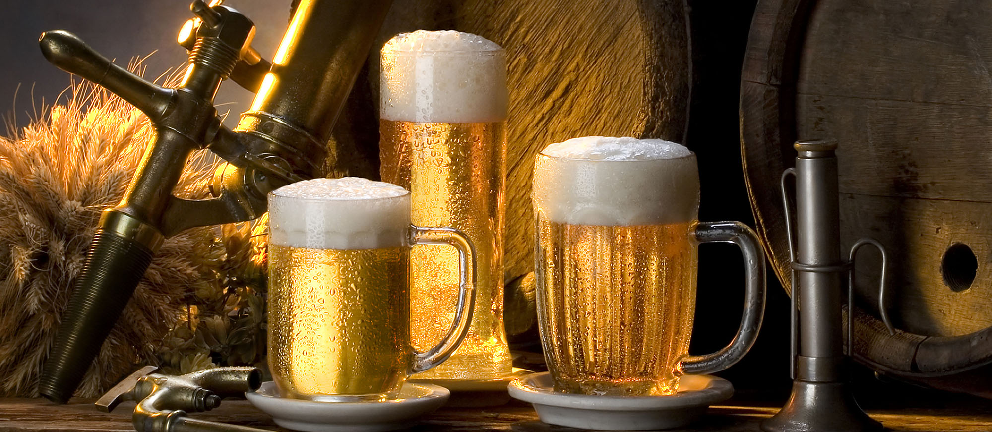 8-most-popular-czech-beers-styles-and-brands-tasteatlas