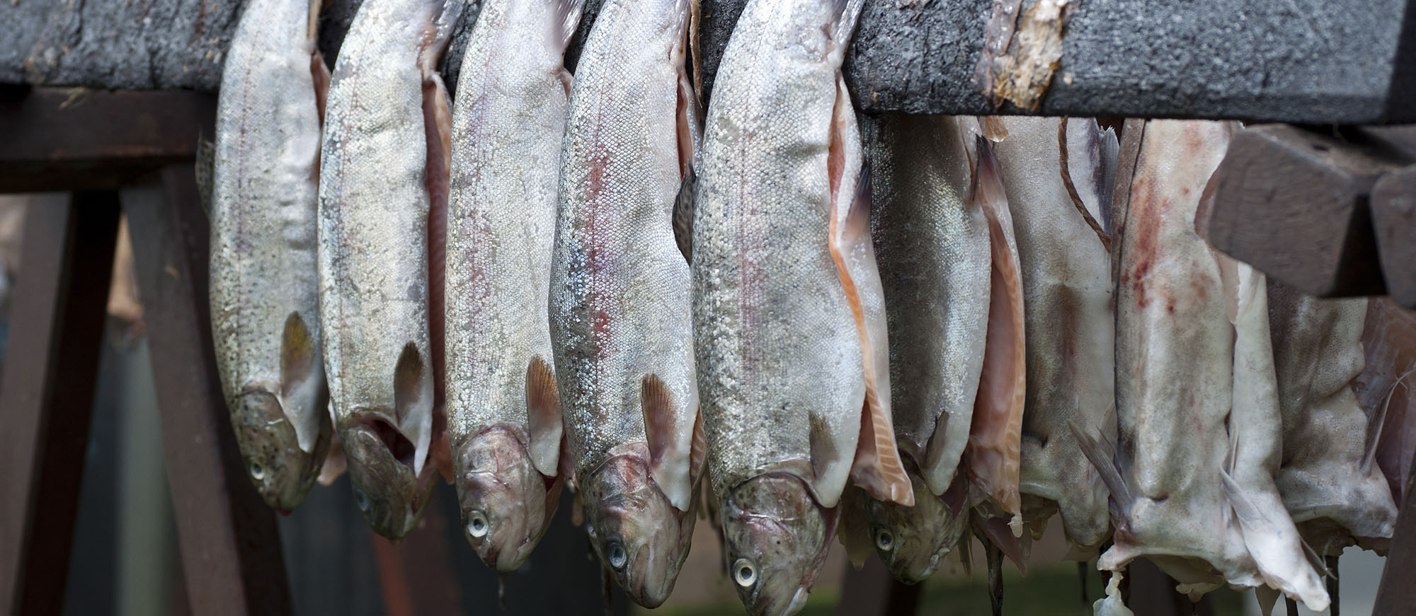 10-most-popular-european-cured-fish-tasteatlas