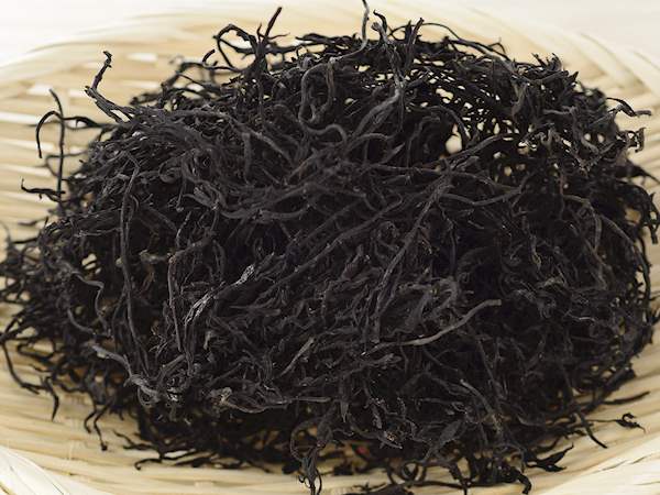 Hijiki Local Seaweed From Japan
