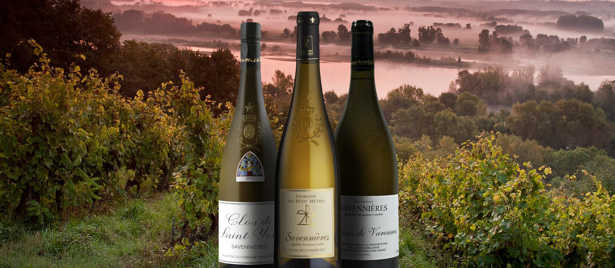 Savennières | Local Wine Appellation From Maine-et-Loire, France