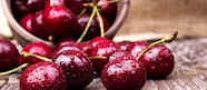 10 Best Rated Central European Fruits Types And Products TasteAtlas