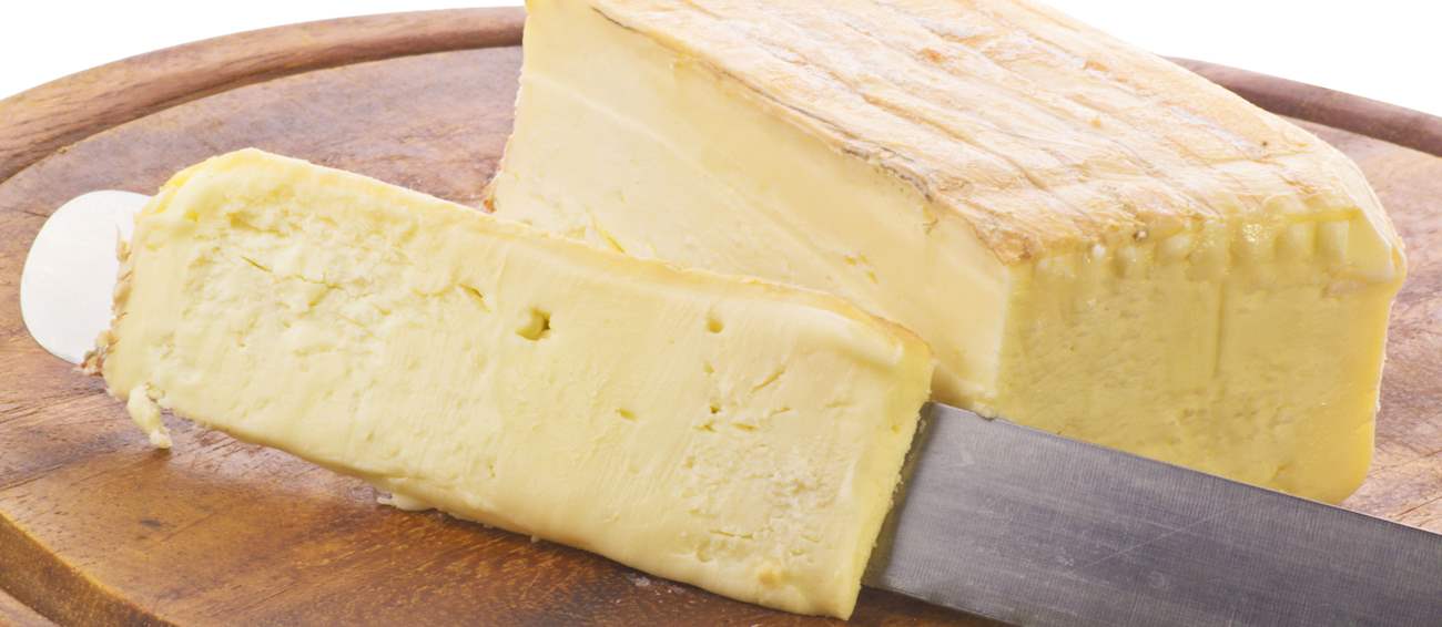 Taleggio Local Cheese From Province of Bergamo, Italy