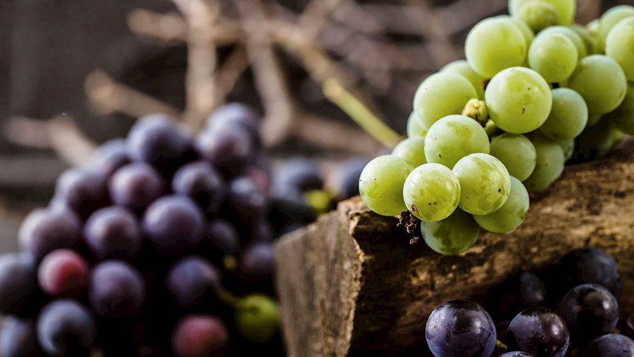 5 Most Popular Dutch Fruits TasteAtlas