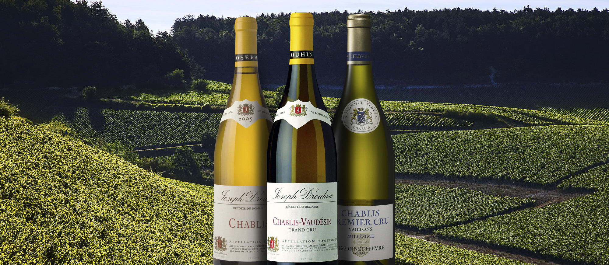 10 Most Popular French White Wines 