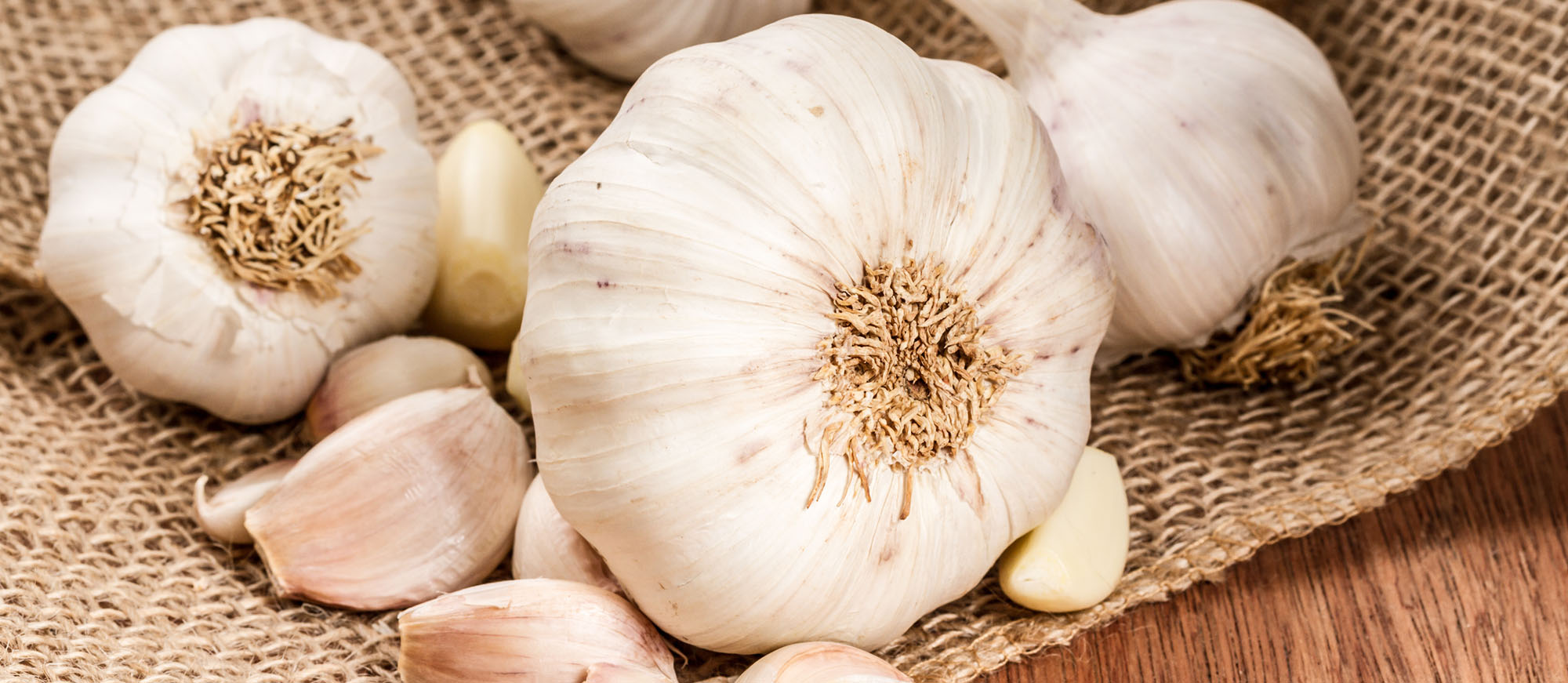 5 Most Popular French Garlic TasteAtlas