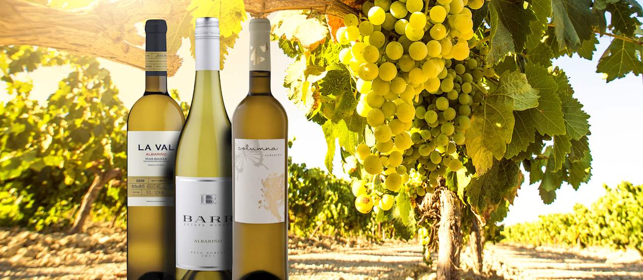 Albariño | Local Wine Variety From Galicia, Spain