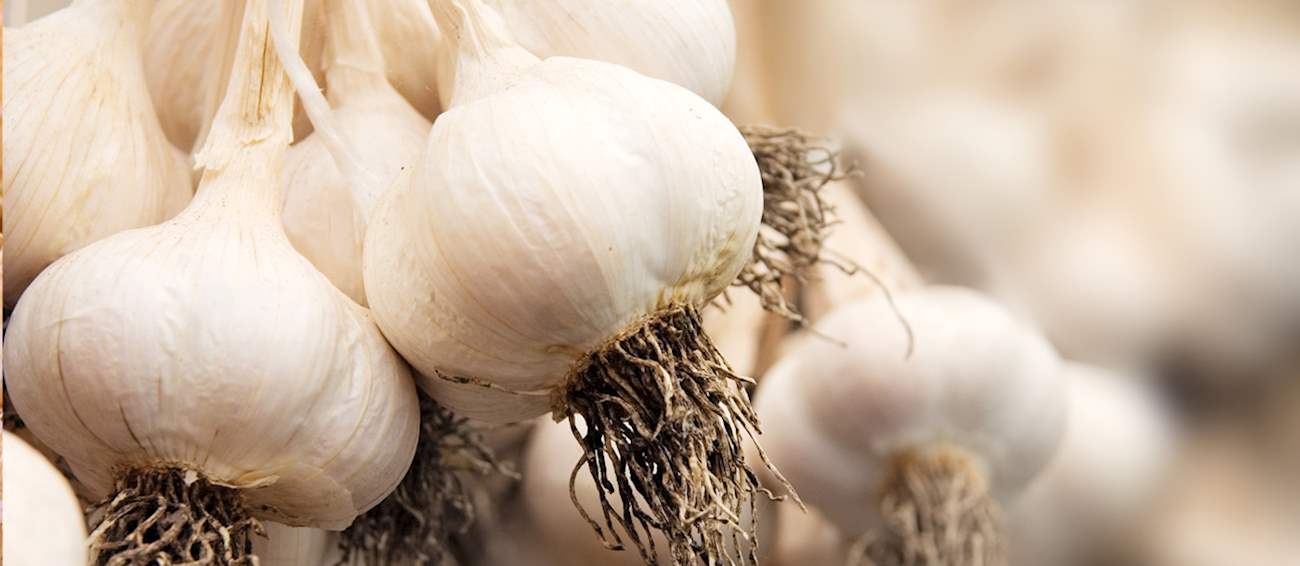 8 Most Popular Western European Garlic