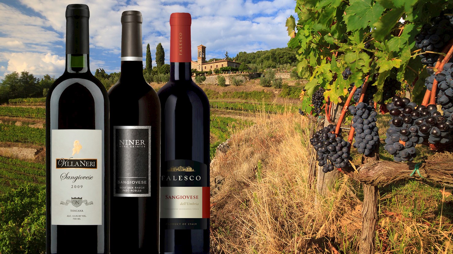 FALESCO FAMILY OF LAZIO AND UMBRIA AIMS TO BE A GLOBAL PLAYER IN WINE |  HuffPost Life, image size:1476x830