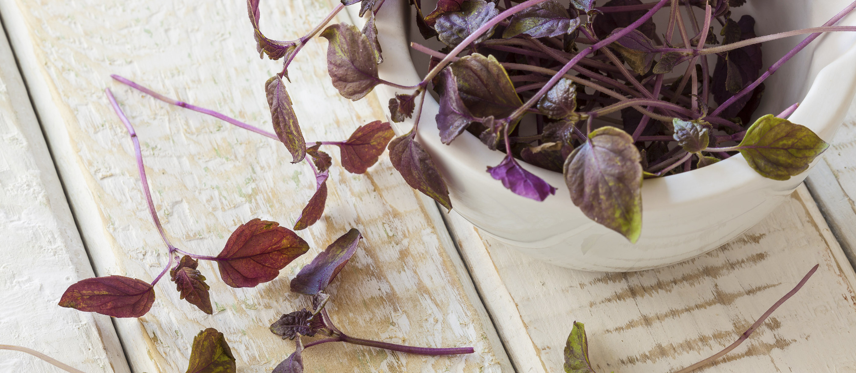 3 Most Popular Japanese Herbs and Spices TasteAtlas