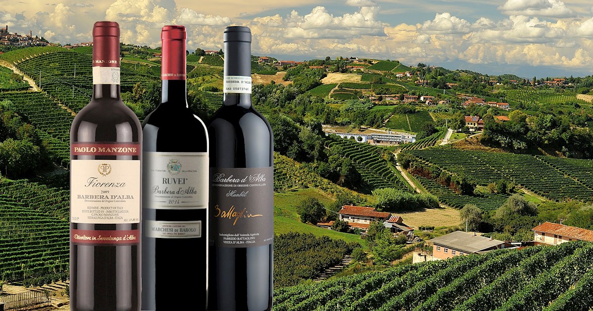 7 Best Red Wines in Piedmont - TasteAtlas