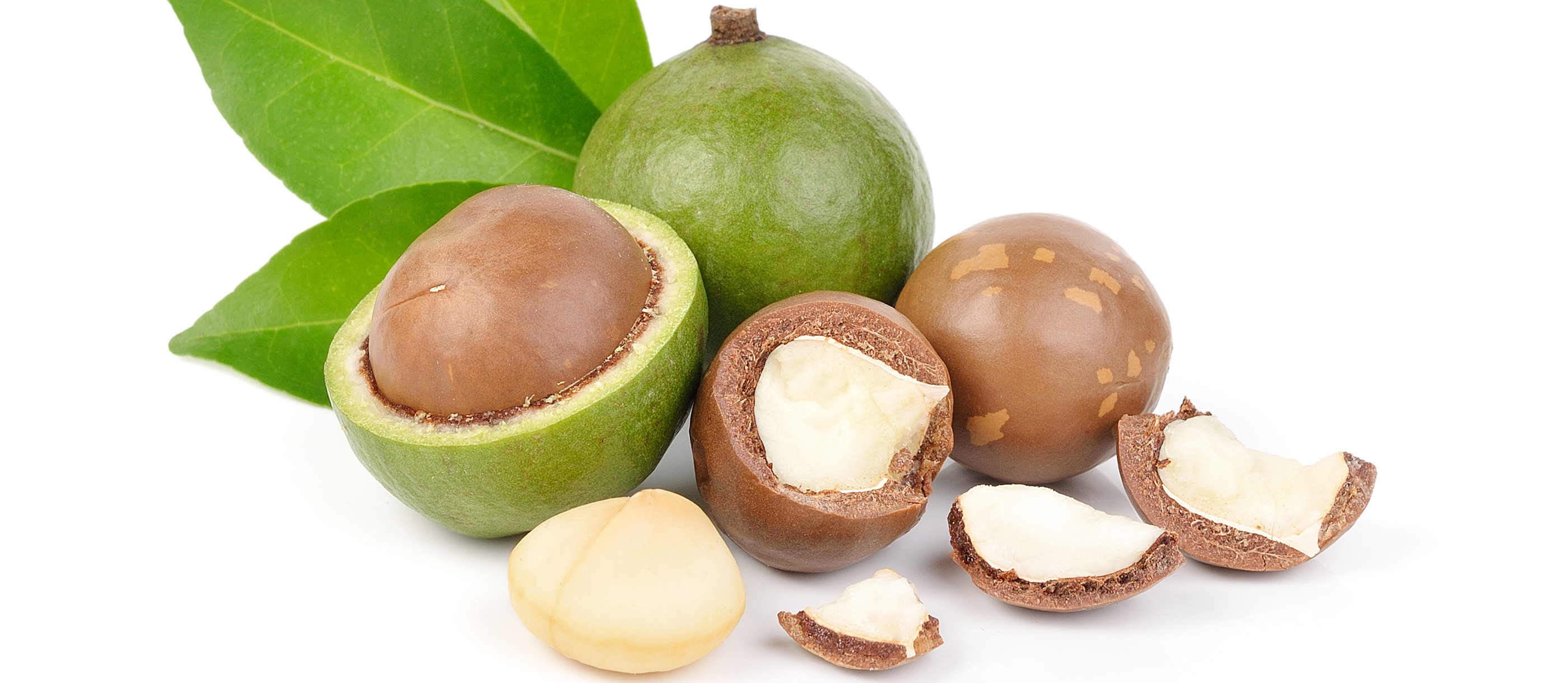 Macadamia | Local Nuts From Queensland, Australia