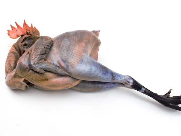 Volaille De Bresse Local Poultry From Ain France Volaille De Bresse Local Poultry From Ain France