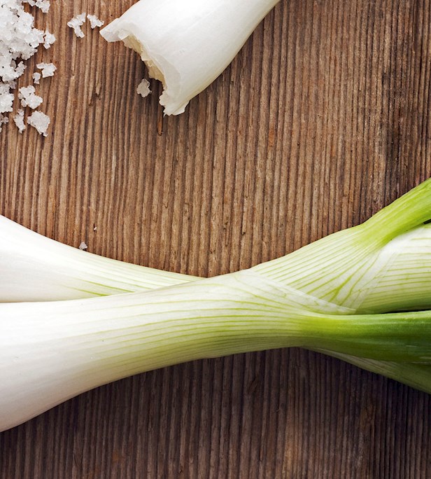 Scallion Types Scallions of the World: 4 Scallion Types - TasteAtlas