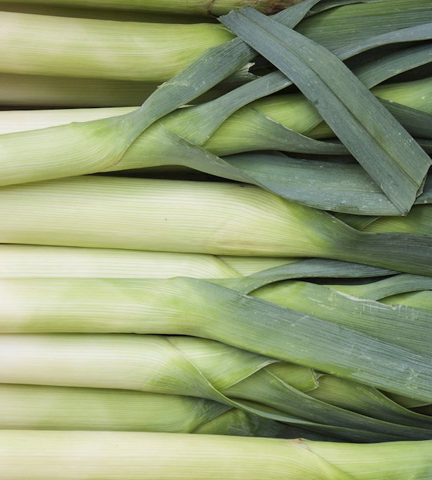 Leeks of the World: 4 Leek Types - TasteAtlas