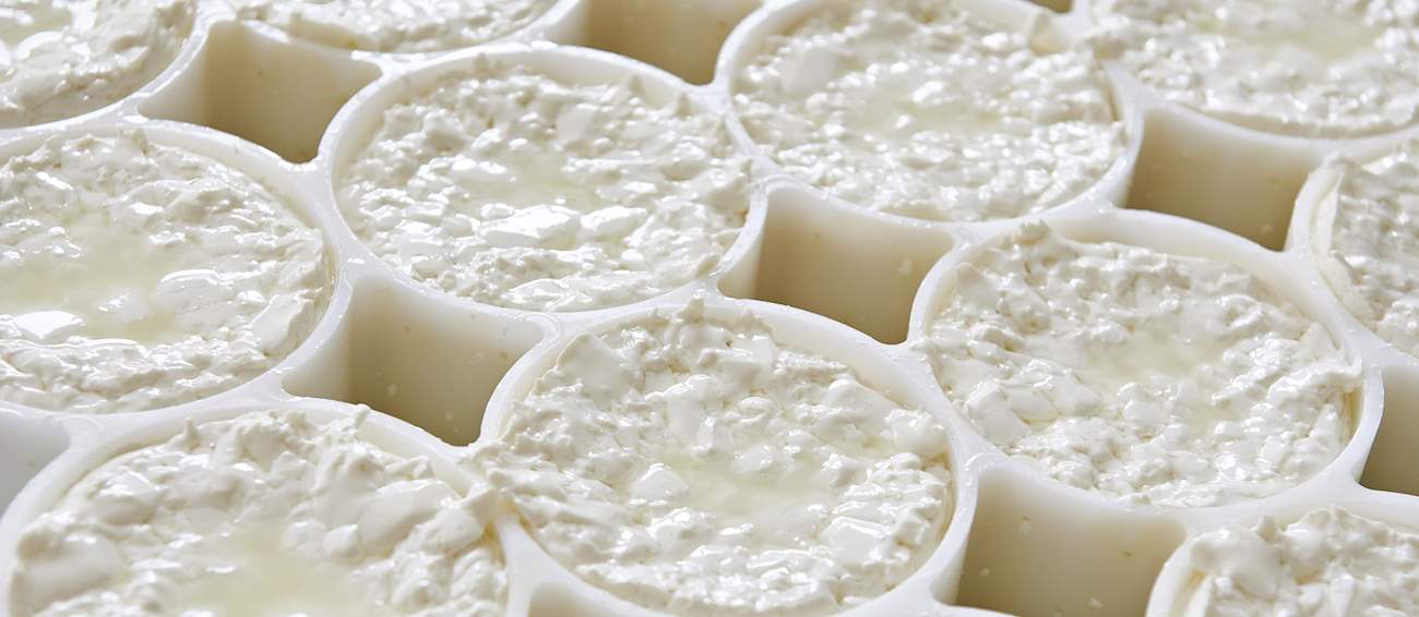 100 Best Rated European Cow's Milk Cheeses