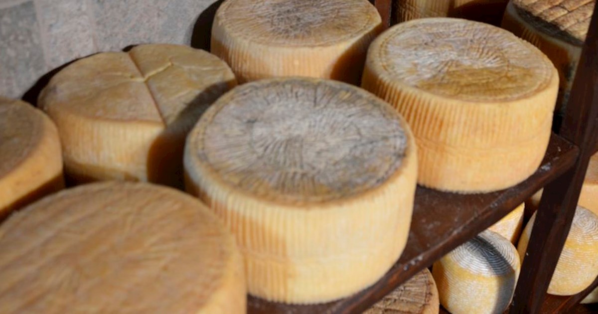 Culture: A Guide to the King of Cheeses, Parmigiano-Reggiano