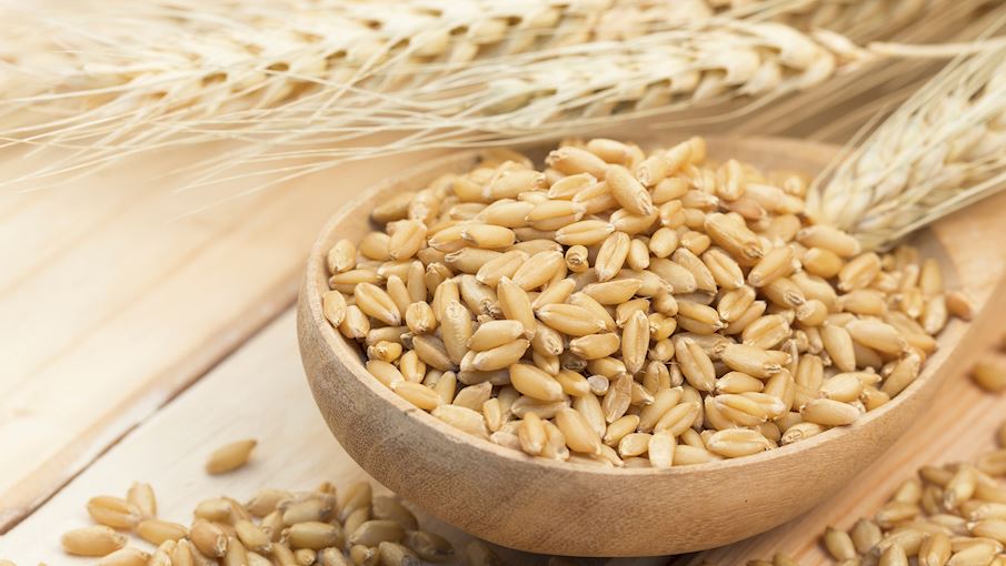 50 Most Popular Grains in the World TasteAtlas