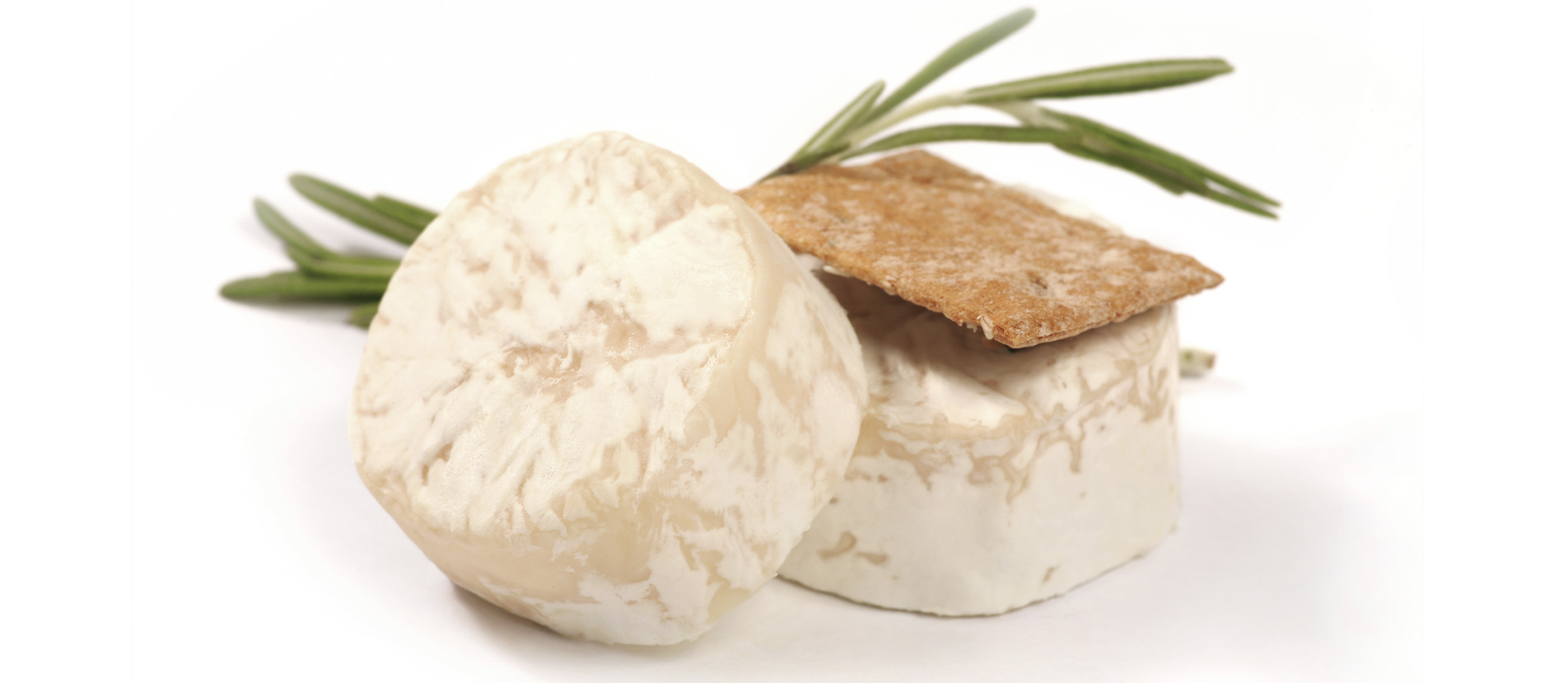 100 Most Popular European Bloomy Rind Cheeses - TasteAtlas