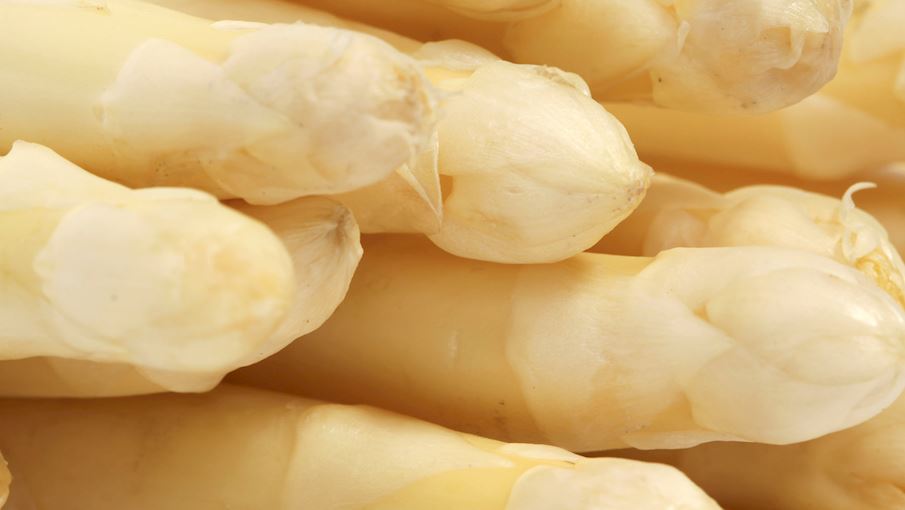 5 Most Popular Dutch Vegetables TasteAtlas