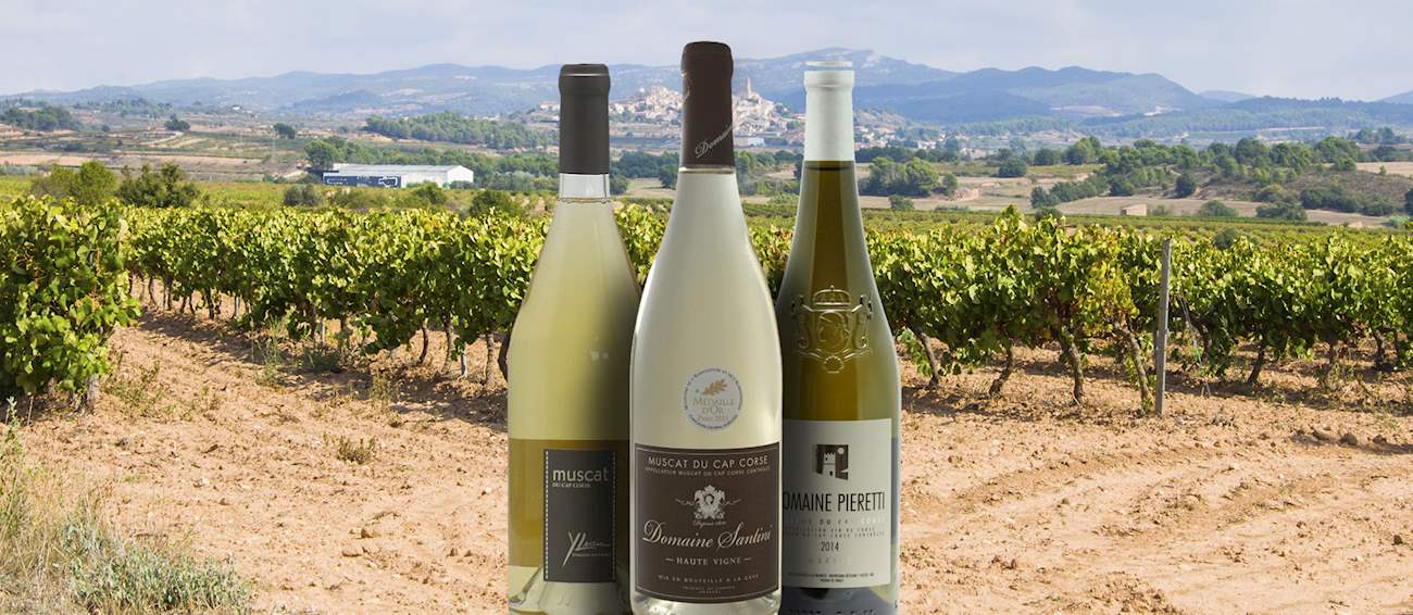 Muscat du CapCorse Local Fortified Wine From Corsica, France