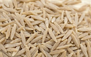 Orzo