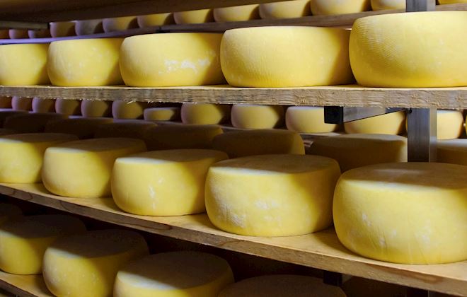 Portuguese Cheeses: 19 Cheese Types in Portugal | TasteAtlas